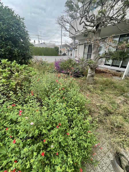 水漏れ調査庭木伐採前