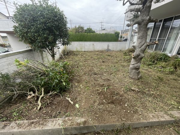 水漏れ調査庭木伐採後