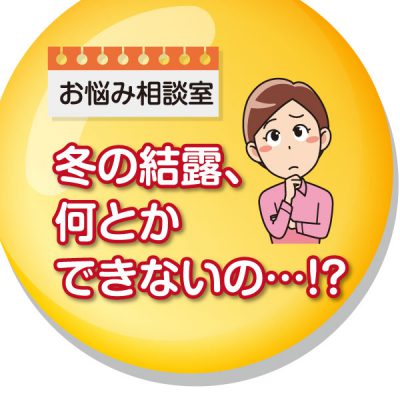 冬の結露、何とかできないの…？