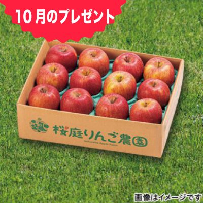 青森県産のりんご「サンふじ」です