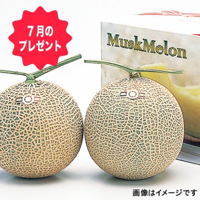 7月のお楽しみプレゼント当選者の発表です！
