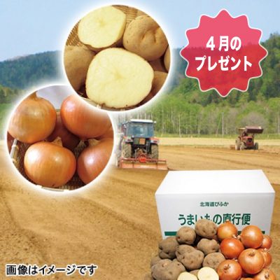 北海道産　期間限定商品『ホクホク甘い男爵イモとジューシーで実のしまった玉ねぎのセット』