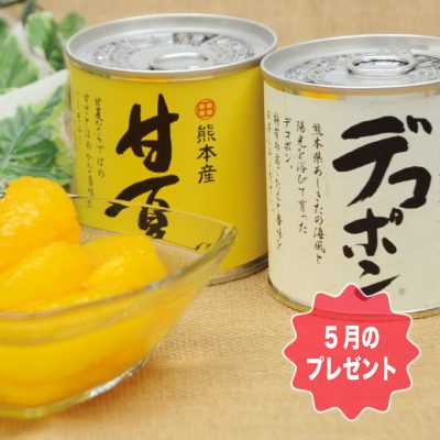 熊本県産デコポンと甘夏の缶詰セット